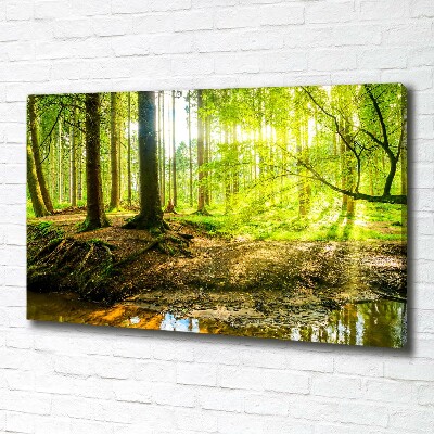 Wandbild Sonnenstrahlen im Wald