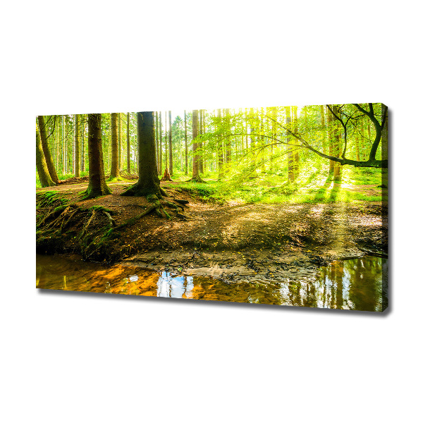 Wandbild Sonnenstrahlen im Wald