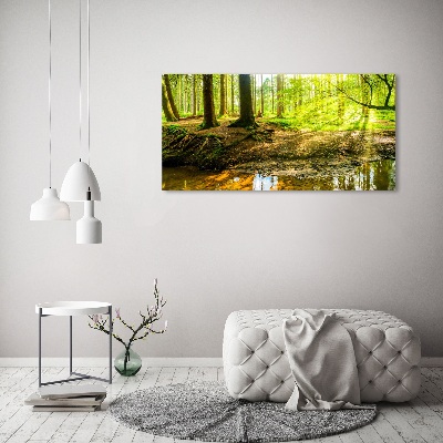 Wandbild Sonnenstrahlen im Wald