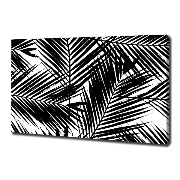 Bild auf leinwand Palmenblätter