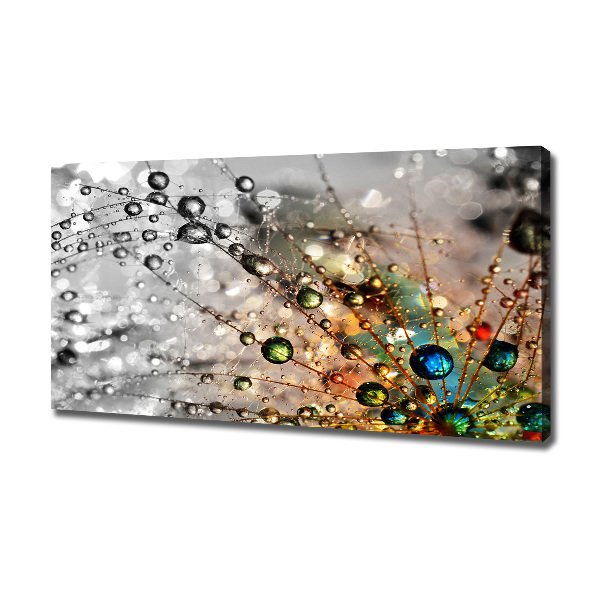 Wandbild Löwenzahnsamen