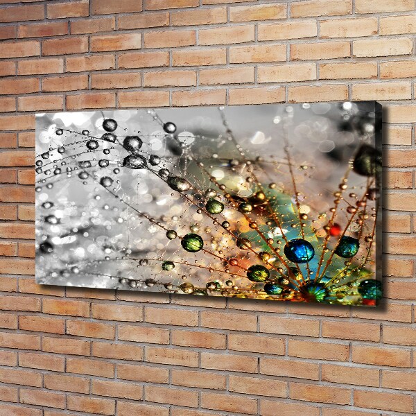 Wandbild Löwenzahnsamen