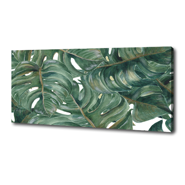 Wandbild Monstera