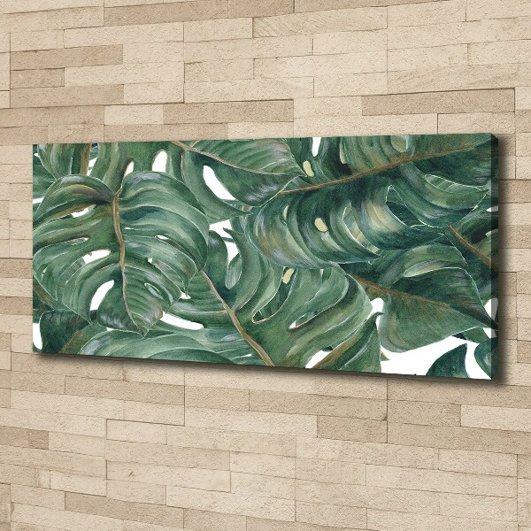 Wandbild Monstera