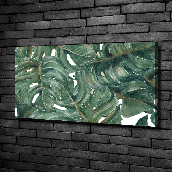 Wandbild Monstera