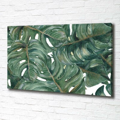 Wandbild Monstera