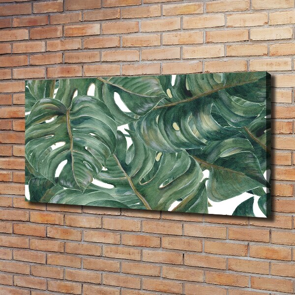 Wandbild Monstera