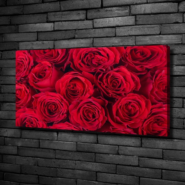 Bild auf leinwand Rosen
