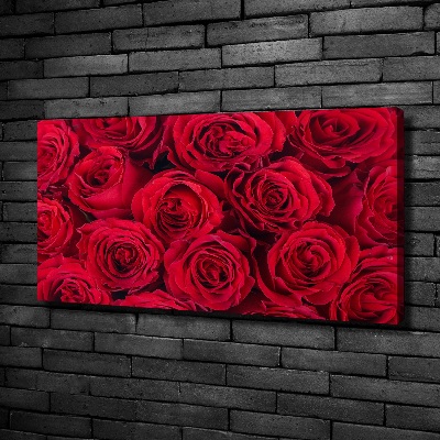 Bild auf leinwand Rosen