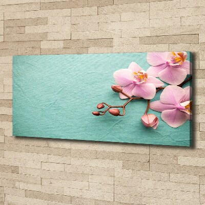 Wandbild Orchidee