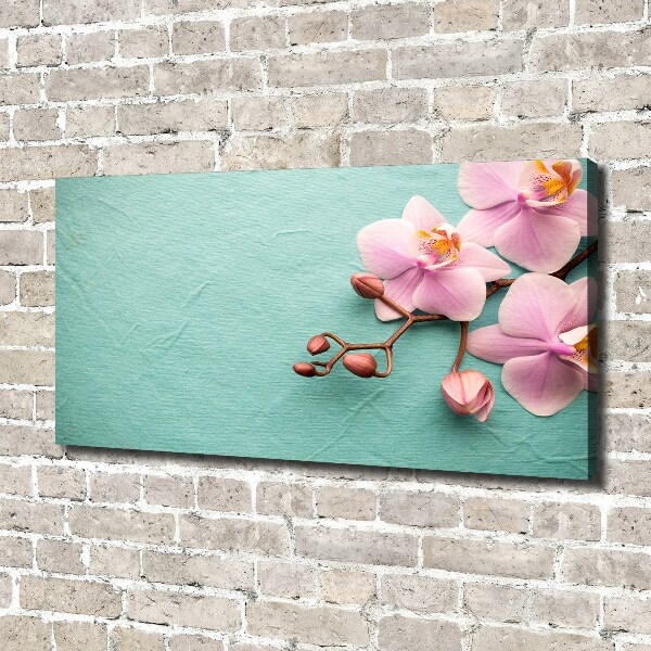 Wandbild Orchidee