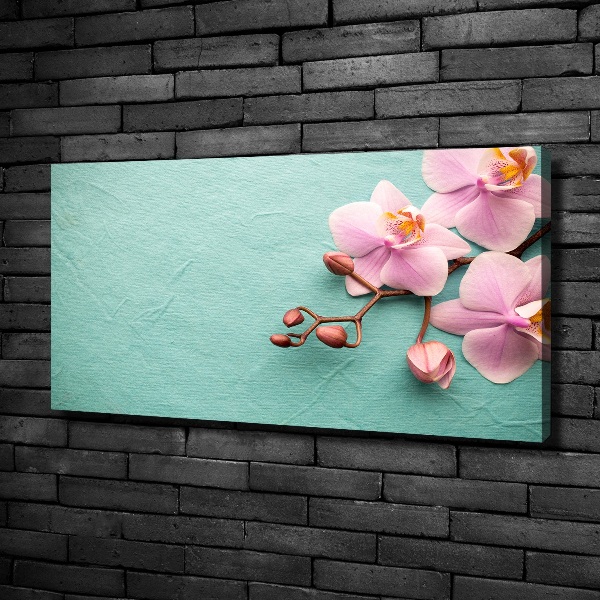 Wandbild Orchidee