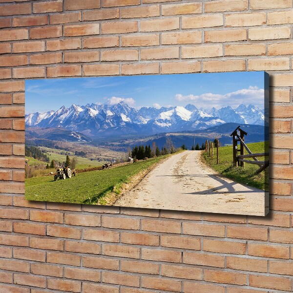 Fotobild Panorama der Tatra-Berge