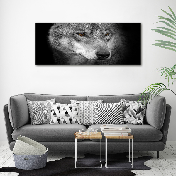 Fotobild Wolf