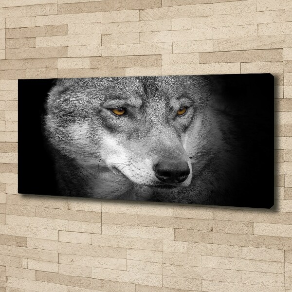 Fotobild Wolf
