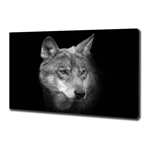 Fotobild Wolf