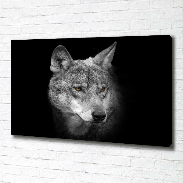 Fotobild Wolf