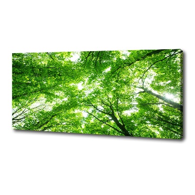 Wandbild Grüner Wald