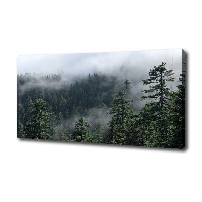 Bild auf leinwand Waldnebel