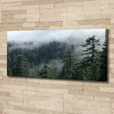 Bild auf leinwand Waldnebel