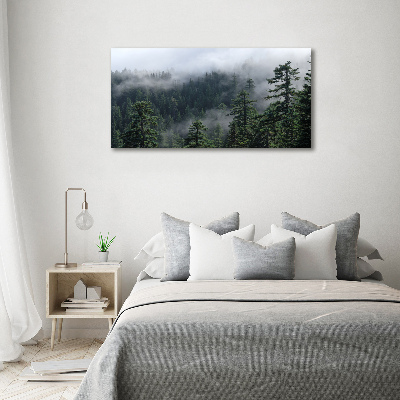 Bild auf leinwand Waldnebel