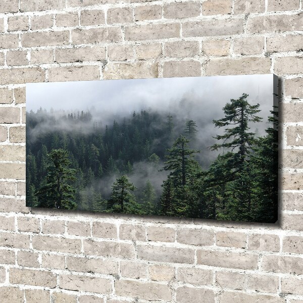 Bild auf leinwand Waldnebel