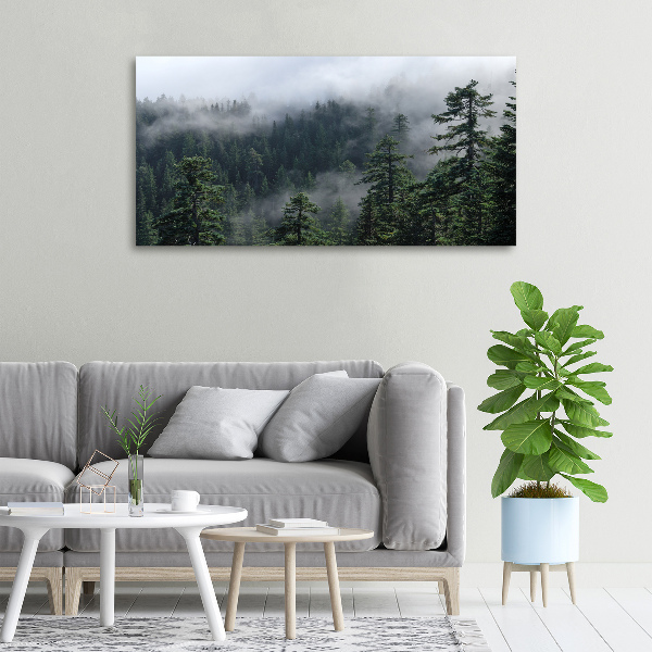 Bild auf leinwand Waldnebel