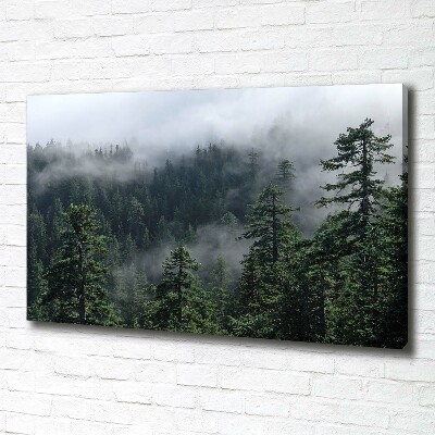 Bild auf leinwand Waldnebel