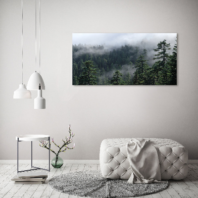 Bild auf leinwand Waldnebel