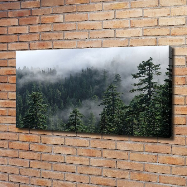 Bild auf leinwand Waldnebel