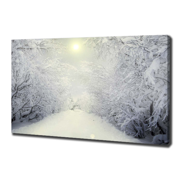 Wandbild Wunderschöner Wald im Winter
