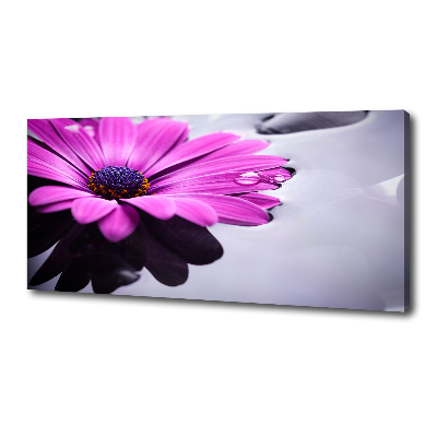 Bild auf leinwand Gerbera
