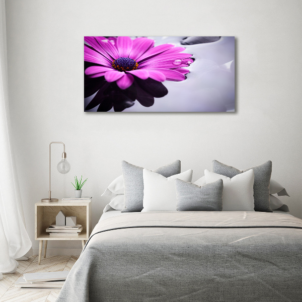 Bild auf leinwand Gerbera