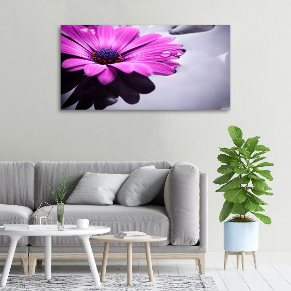 Bild auf leinwand Gerbera