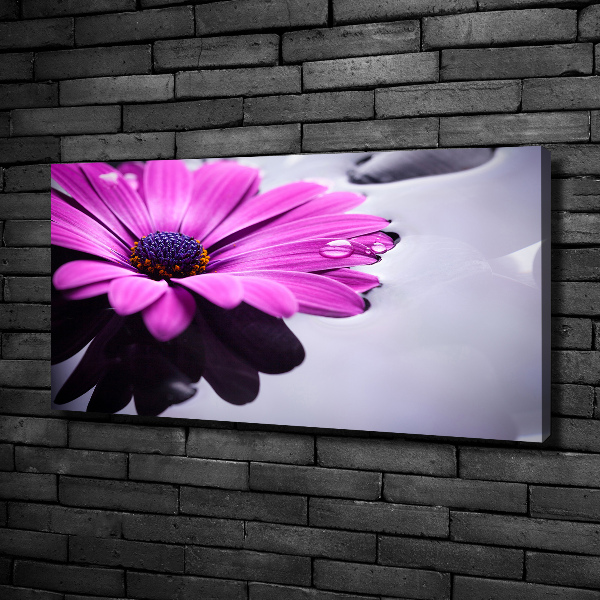 Bild auf leinwand Gerbera