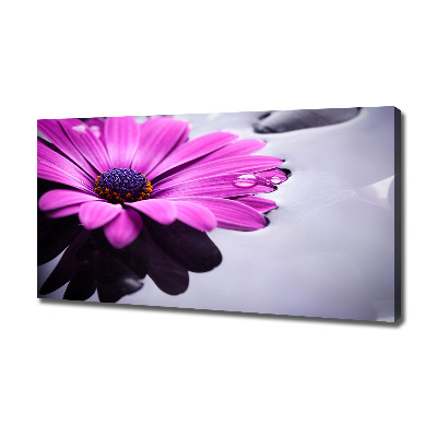 Bild auf leinwand Gerbera