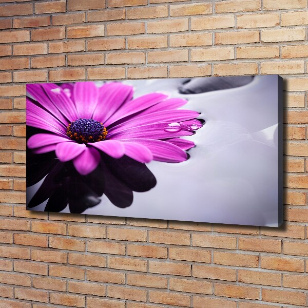 Bild auf leinwand Gerbera