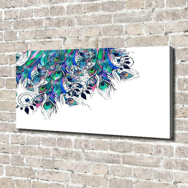 Wandbild Pfauenfedern