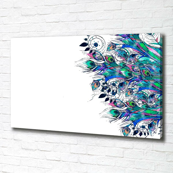 Wandbild Pfauenfedern