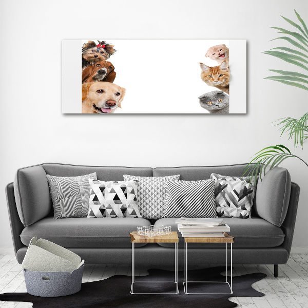 Bild auf leinwand Hunde und Katzen