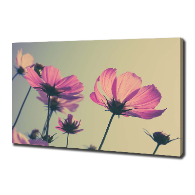 Wandbild Rosa Blüten