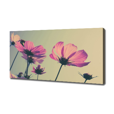 Wandbild Rosa Blüten