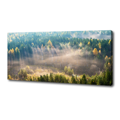 Bild auf leinwand Nebel im Wald