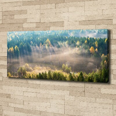Bild auf leinwand Nebel im Wald