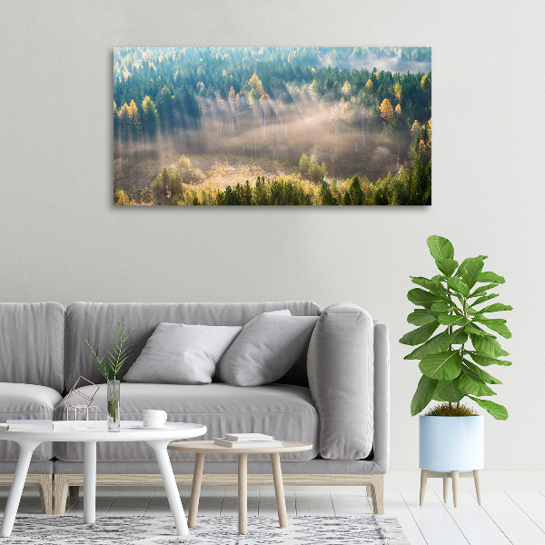 Bild auf leinwand Nebel im Wald