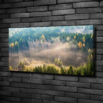 Bild auf leinwand Nebel im Wald