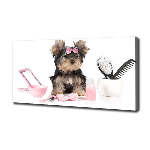 Fotobild Yorkshire Kosmetik