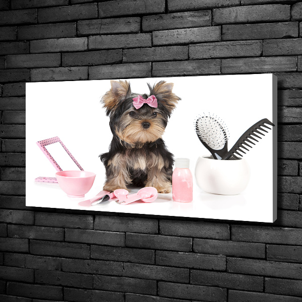 Fotobild Yorkshire Kosmetik