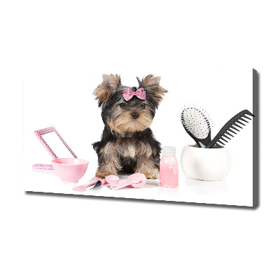 Fotobild Yorkshire Kosmetik