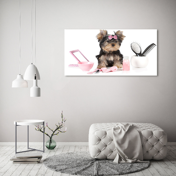 Fotobild Yorkshire Kosmetik